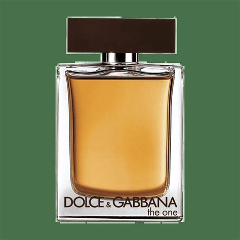 dolce gabbana the one vs dior homme intense|d&g the one vs Dior.